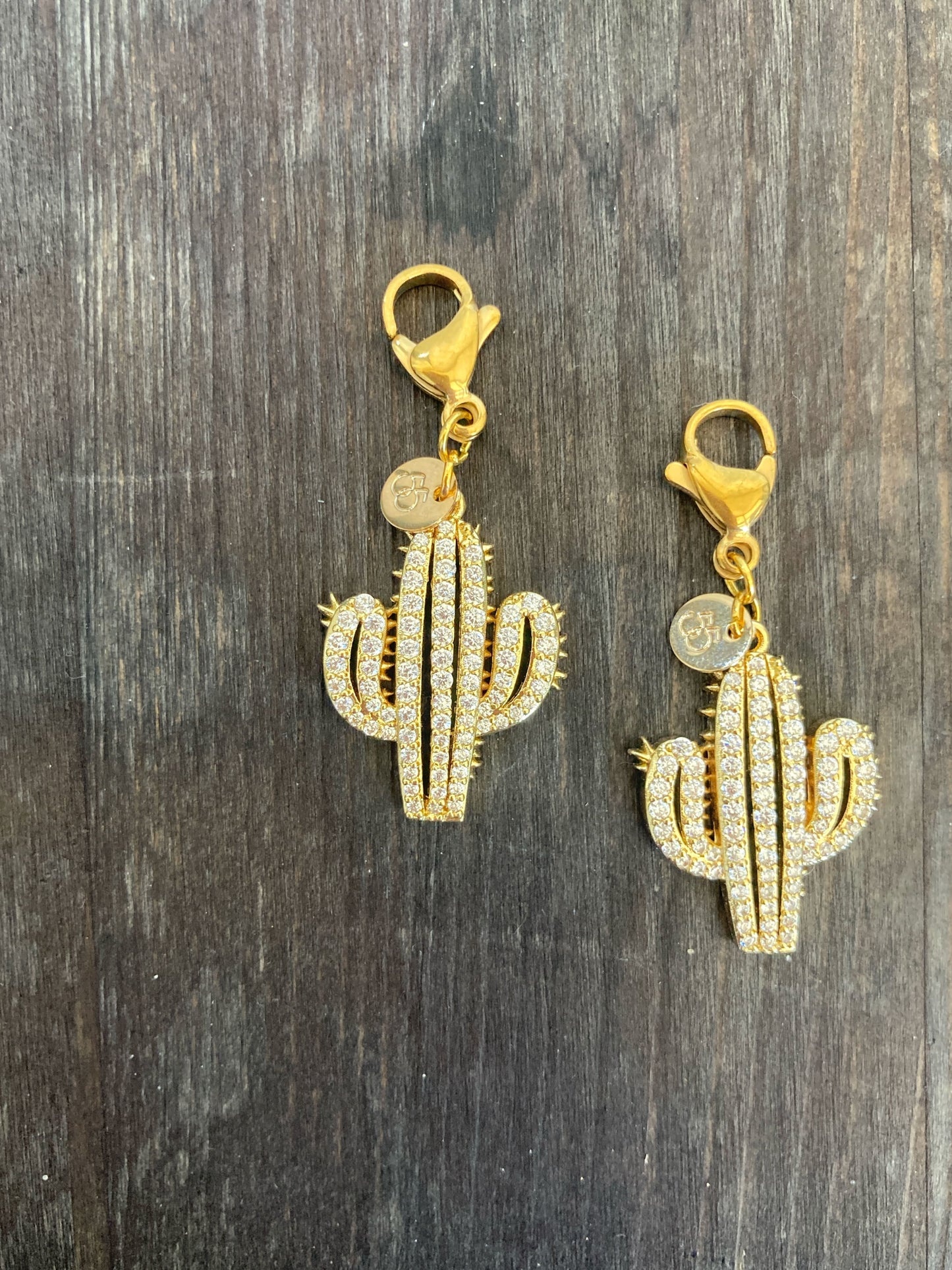 Cactus, il ciondolo che sprigiona luce. in ottone dorato e zirconi ed il suo moschettone che ti permette di indossarlo dove vuoi tu